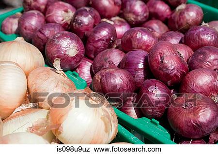 Onions View Large Photo Image Stock Photo - Onions. Fotosearch