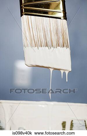 Paintbrush with white paint dripping View Large Photo Image Stock Image - Paintbrush with white paint dripping. Fotosearch