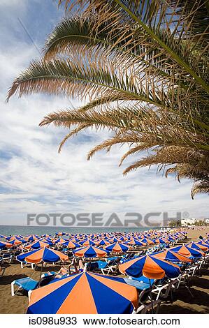 Parasols on Puerto del Carmen beach, Lanzarote View Large Photo Image Stock Image - Parasols on Puerto del Carmen beach, Lanzarote. Fotosearch