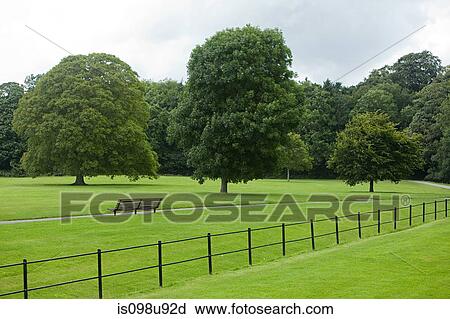 Park of Malahide Castle, Ireland View Large Photo Image Stock Image - Park of Malahide Castle, Ireland. Fotosearch