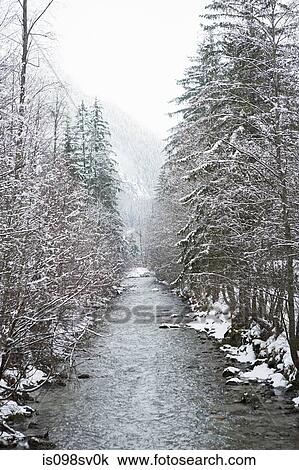 Path through snow covered trees View Large Photo Image Stock Image - Path through snow covered trees. Fotosearch