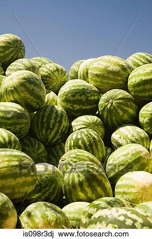 Pile of watermelons at market View Large Photo Image Stock Image - Pile of watermelons at market. Fotosearch
