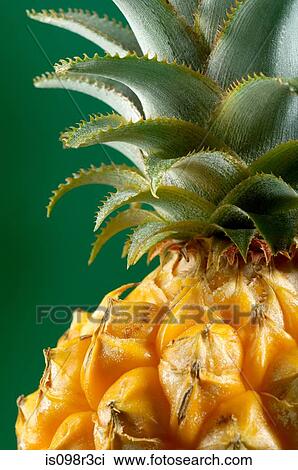 Pineapple on green background View Large Photo Image Stock Image - Pineapple on green background. Fotosearch