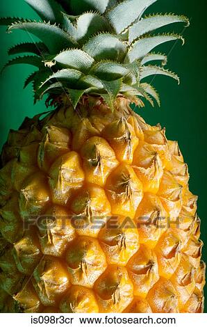Stock Photography - Pineapple on green background. Fotosearch