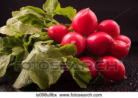 Radishes View Large Photo Image Stock Photo - Radishes. Fotosearch