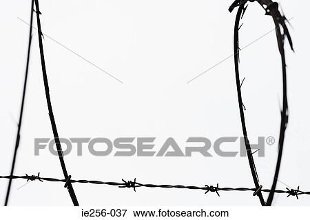 Stock Photo - Razor wire. Fotosearch
