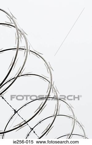 Razor wire View Large Photo Image Stock Photography - Razor wire. Fotosearch