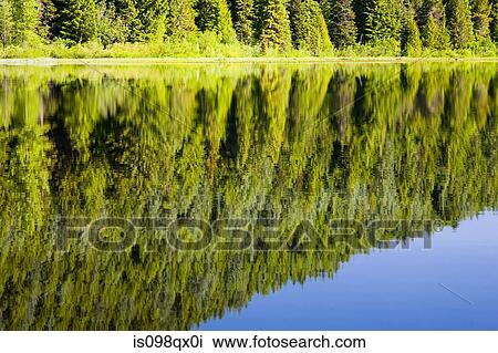 Stock Image - Reflection in trillium lake. Fotosearch
