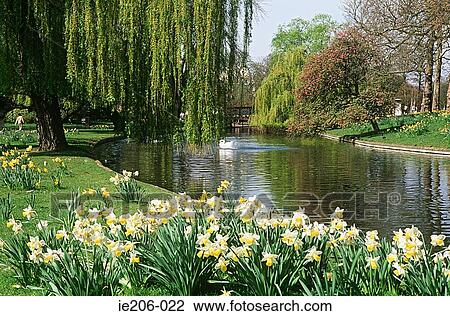 Regents park london View Large Photo Image Stock Image - Regents park london. Fotosearch