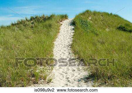 Sand path over dune, Montauk, Long Island View Large Photo Image Stock Image - Sand path over dune, Montauk, Long Island. Fotosearch