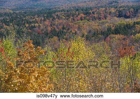 Scenery, Vermont, USA View Large Photo Image Stock Photo - Scenery, Vermont, USA. Fotosearch