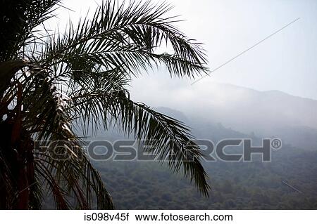 Scenic, Oludeniz, Turkey View Large Photo Image Stock Image - Scenic, Oludeniz, Turkey. Fotosearch