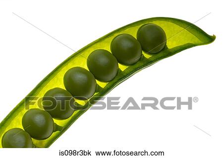 Seven peas in a pod on white background View Large Photo Image Stock Image - Seven peas in a pod on white background. Fotosearch