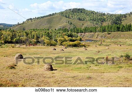 Siberian landscape View Large Photo Image Stock Photograph - Siberian landscape. Fotosearch
