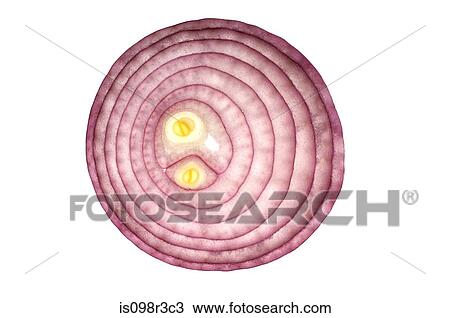 Stock Image - Slice of red onion on white background. Fotosearch