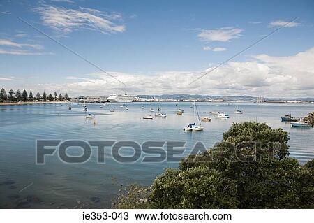 Stock Image - Tauranga harbour. Fotosearch
