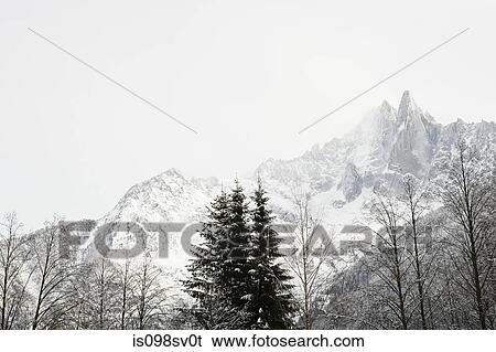 Stock Photograph - Trees and mountain in french alps. Fotosearch