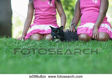 Stock Photograph - Two girls stroking a cat. Fotosearch