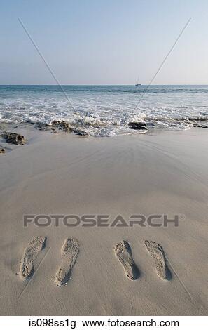 Two people's footprints on sand View Large Photo Image Stock Image - Two people's footprints on sand. Fotosearch