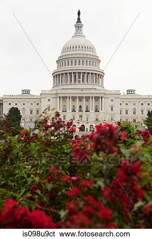 United states capitol, Washington DC, USA View Large Photo Image Stock Photograph - United states capitol, Washington DC, USA. Fotosearch