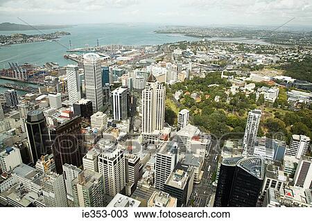 View of albert park and the harbour auckland View Large Photo Image Stock Image - View of albert park and the harbour auckland. Fotosearch