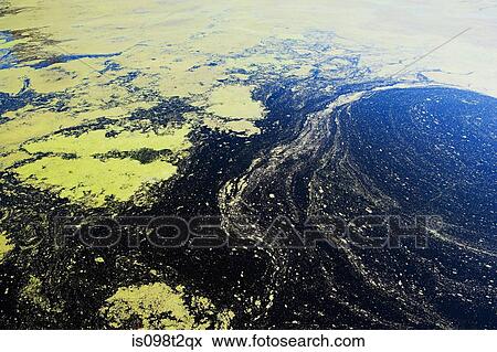 Water of florida everglades View Large Photo Image Stock Photo - Water of florida everglades. Fotosearch
