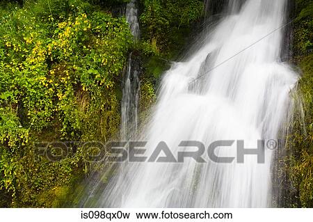 Waterfall at mount hood View Large Photo Image Stock Photo - Waterfall at mount hood. Fotosearch
