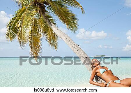 Woman leaning on palm tree, Maadaugalla Island, North Huvadhu Atoll, Maldives View Large Photo Image Stock Image - Woman leaning on palm tree, Maadaugalla Island, North Huvadhu Atoll, Maldives. Fotosearch
