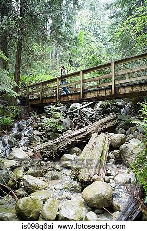 Woman on a bridge in forest View Large Photo Image Stock Image - Woman on a bridge in forest. Fotosearch