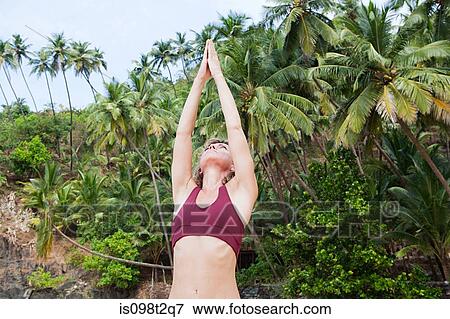 Woman practicing yoga by palm trees View Large Photo Image Stock Photo - Woman practicing yoga by palm trees. Fotosearch