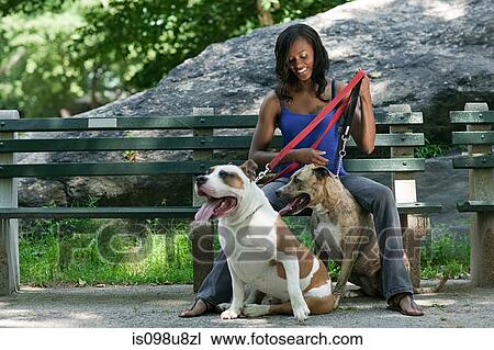 Woman sitting on a park bench with her two dogs View Large Photo Image Stock Image - Woman sitting on a park bench with her two dogs. Fotosearch