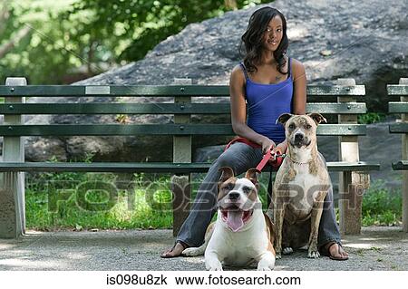 Woman sitting on park bench with her two dogs View Large Photo Image Stock Image - Woman sitting on park bench with her two dogs. Fotosearch