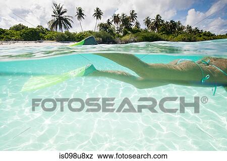 Woman snorkeling, Kadhdhoo Island, Laamu Atoll, Maldives View Large Photo Image Stock Photo - Woman snorkeling, Kadhdhoo Island, Laamu Atoll, Maldives. Fotosearch
