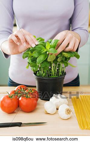 Stock Photograph - Woman with ingredients. Fotosearch
