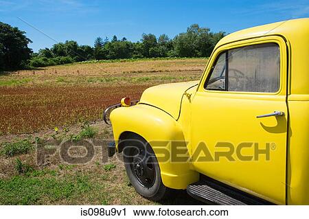 Stock Image - Yellow pickup truck in a field in Montauk, Long Island. Fotosearch