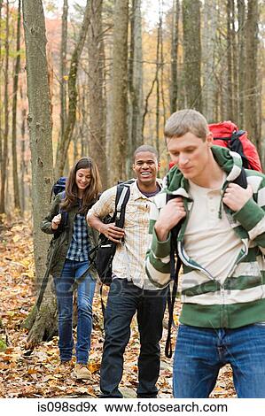 Young people hiking through forest View Large Photo Image Stock Photo - Young people hiking through forest. Fotosearch