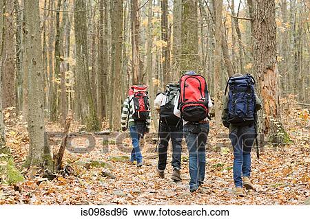 Stock Photograph - Young people hiking through forest. Fotosearch