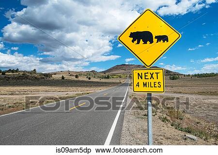 "Bear warning sign on roadside, Alpine County, California, USA" View Large Photo Image Stock Photography - "Bear warning sign on roadside, Alpine County, California, USA". Fotosearch