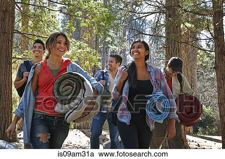"Five young adult friends walking in forest with camping equipment, Los Angeles, California, USA" View Large Photo Image Stock Image - "Five young adult friends walking in forest with camping equipment, Los Angeles, California, USA". Fotosearch