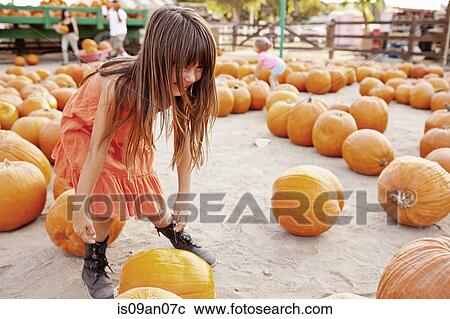 Stock Image - Girl choosing pumpkin in farmyard. Fotosearch