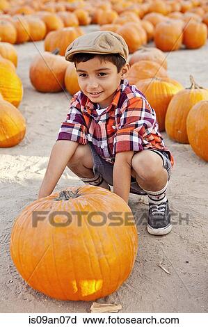 Portrait of boy choosing pumpkin in farmyard View Large Photo Image Stock Image - Portrait of boy choosing pumpkin in farmyard. Fotosearch