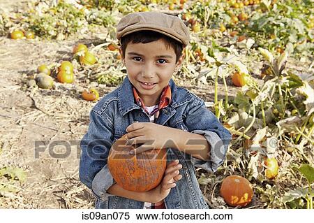 Portrait of boy with pumpkin in pumpkin field View Large Photo Image Stock Photography - Portrait of boy with pumpkin in pumpkin field. Fotosearch