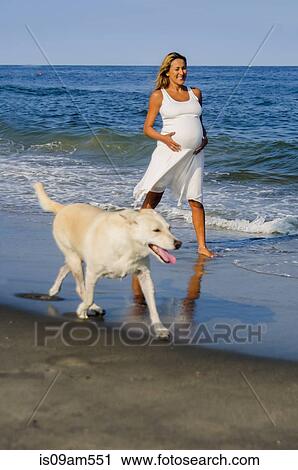 Pregnant mature woman walking dog on beach View Large Photo Image Stock Image - Pregnant mature woman walking dog on beach. Fotosearch