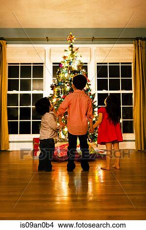 Picture - Rear view of girl and two brothers holding hands in front of xmas tree. Fotosearch