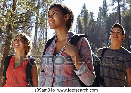 "Three young adult friends hiking in forest, Los Angeles, California, USA" View Large Photo Image Picture - "Three young adult friends hiking in forest, Los Angeles, California, USA". Fotosearch