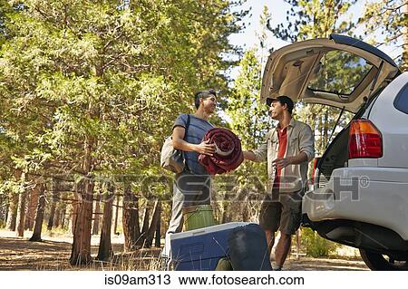 "Two young male campers unpacking car boot in forest, Los Angeles, California, USA" View Large Photo Image Stock Image - "Two young male campers unpacking car boot in forest, Los Angeles, California, USA". Fotosearch