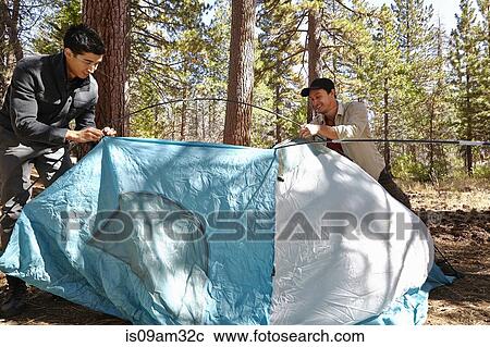 "Two young men putting up tent in forest, Los Angeles, California, USA" View Large Photo Image Stock Image - "Two young men putting up tent in forest, Los Angeles, California, USA". Fotosearch