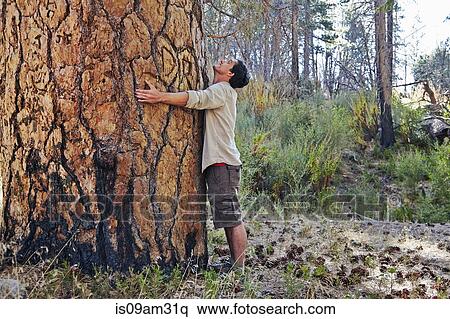 Stock Photography - "Young man in forest hugging large tree trunk, Los Angeles, California, USA". Fotosearch