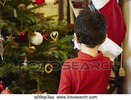 Stock Image - Boy decorating christmas tree. Fotosearch