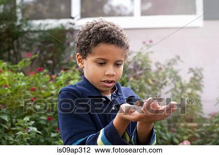 Boy observing grasshopper in garden View Large Photo Image Stock Image - Boy observing grasshopper in garden. Fotosearch